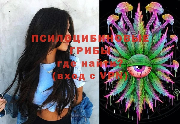 индика Навашино