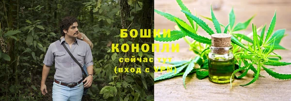 индика Навашино