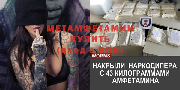 шишки Ессентукская