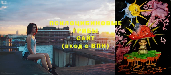 индика Навашино