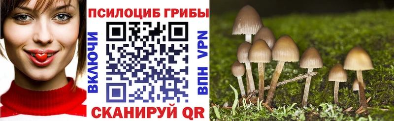 Псилоцибиновые грибы Psilocybe  Игарка 